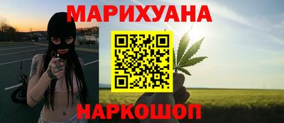 прущие грибы Нальчик