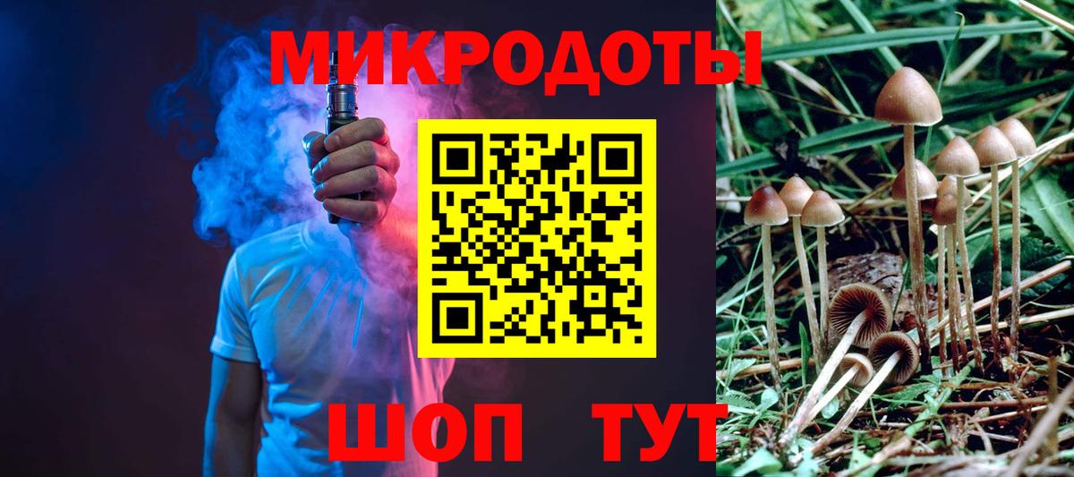 Псилоцибиновые грибы мухоморы  Галлюциногенные грибы Psilocybine cubensis  Советская Гавань  Вход с VPN 