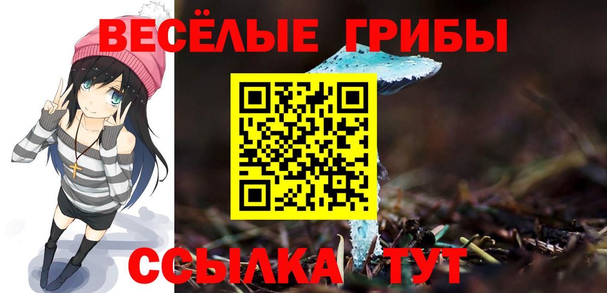Галлюциногенные грибы GOLDEN TEACHER Советская Гавань